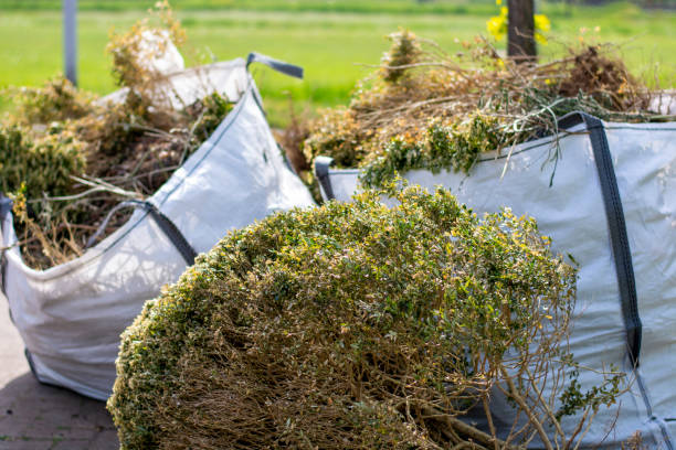 Shed Removal in Kalaeloa, HI